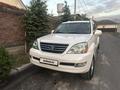 Lexus GX 470 2008 года за 13 600 000 тг. в Алматы