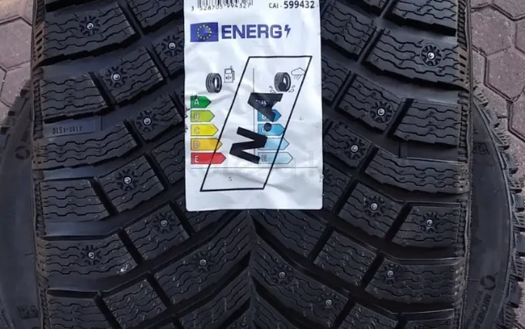 Шины Michelin 255/55/r20 Xice North4 за 200 000 тг. в Алматы