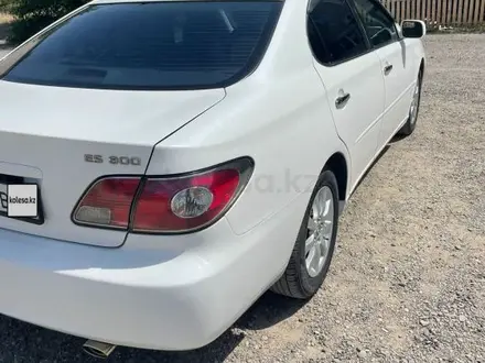 Lexus ES 300 2003 года за 5 700 000 тг. в Шелек – фото 6