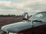 Audi 100 1991 года за 2 100 000 тг. в Караганда – фото 5