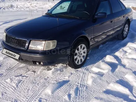 Audi 100 1993 года за 2 400 000 тг. в Сарканд – фото 13