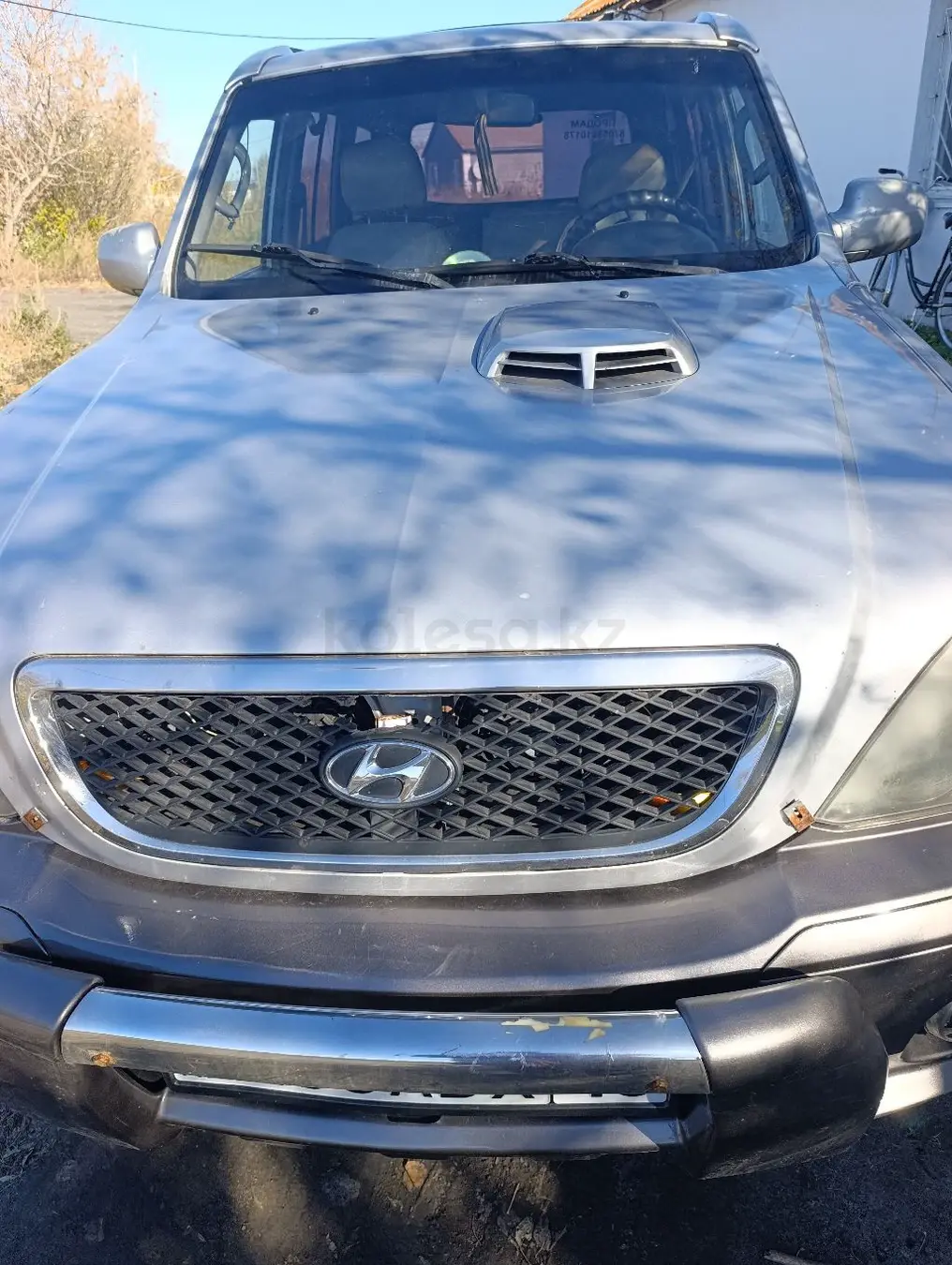 Hyundai Terracan, 2001