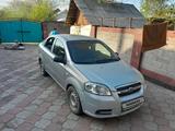 Chevrolet Aveo 2011 года за 2 900 000 тг. в Алматы