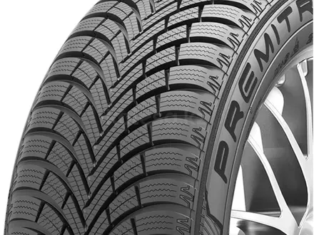 215/60R16 WP6 99H Maxxis за 38 300 тг. в Алматы