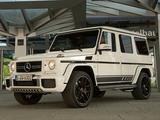 Металлическую защиту под передний бампер Mercedes-Benz G-Класс за 50 000 тг. в Астана