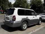 Hyundai Terracan 2006 года за 5 000 000 тг. в Алматы – фото 2