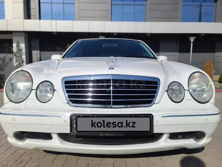 Mercedes-Benz E 55 AMG 2002 года за 14 500 000 тг. в Алматы – фото 18