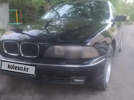 BMW 525 2000 года за 3 500 000 тг. в Талдыкорган – фото 8