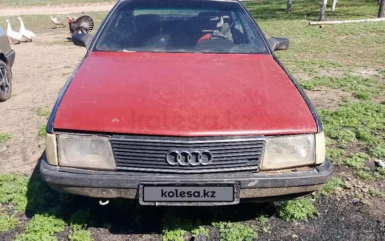 Audi 100 1987 годаүшін550 000 тг. в Павлодар