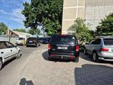 Honda Pilot 2012 года за 8 300 000 тг. в Алматы – фото 2
