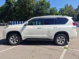 Toyota Land Cruiser Prado 2012 годаfor14 500 000 тг. в Алматы – фото 4