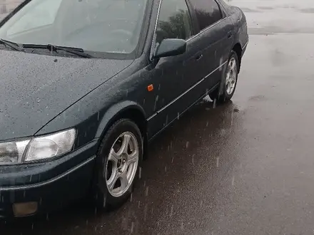 Toyota Camry 1999 года за 3 500 000 тг. в Алматы