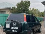 Honda CR-V 1999 года за 3 200 000 тг. в Мерке – фото 5