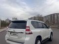 Toyota Land Cruiser Prado 2010 годаүшін13 900 000 тг. в Караганда – фото 9