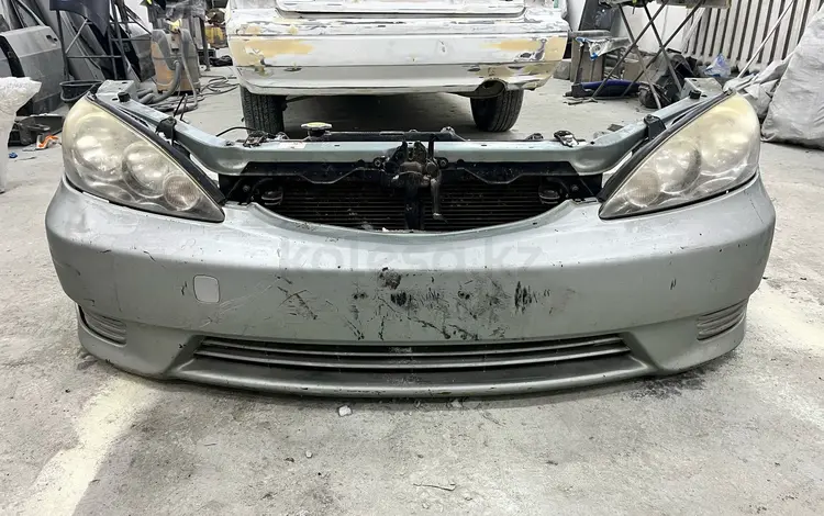 Ноускат за 200 000 тг. в Семей