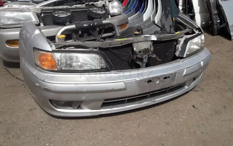 Ноускат за 115 000 тг. в Алматы