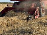 Massey Ferguson 2002 года за 6 000 000 тг. в Шиели – фото 2