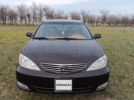 Toyota Camry 2003 года за 5 500 000 тг. в Караганда – фото 7