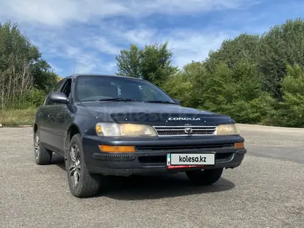 Toyota Corolla 1992 года за 1 600 000 тг. в Усть-Каменогорск