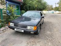 Audi 100 1989 годаүшін1 450 000 тг. в Талдыкорган