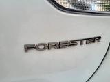 Subaru Forester 2024 года за 20 200 000 тг. в Алматы – фото 5