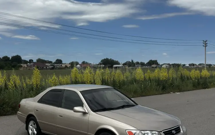 Toyota Camry 2000 года за 3 650 000 тг. в Алматы