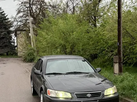 Toyota Camry 2001 года за 4 000 000 тг. в Алматы – фото 8