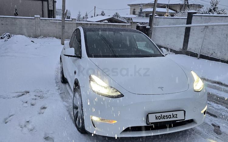 Tesla Model Y — миниатюра 2