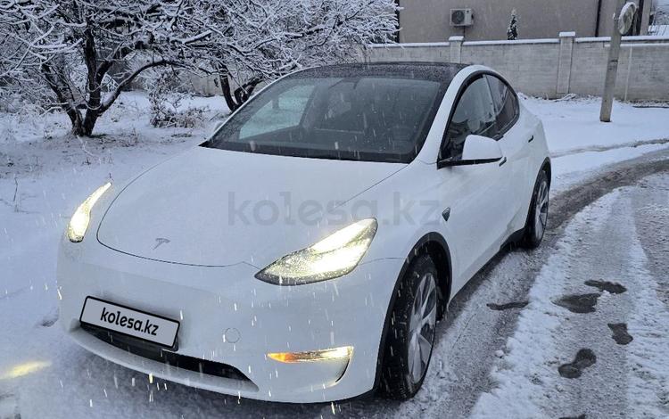 Tesla Model Y — миниатюра 1