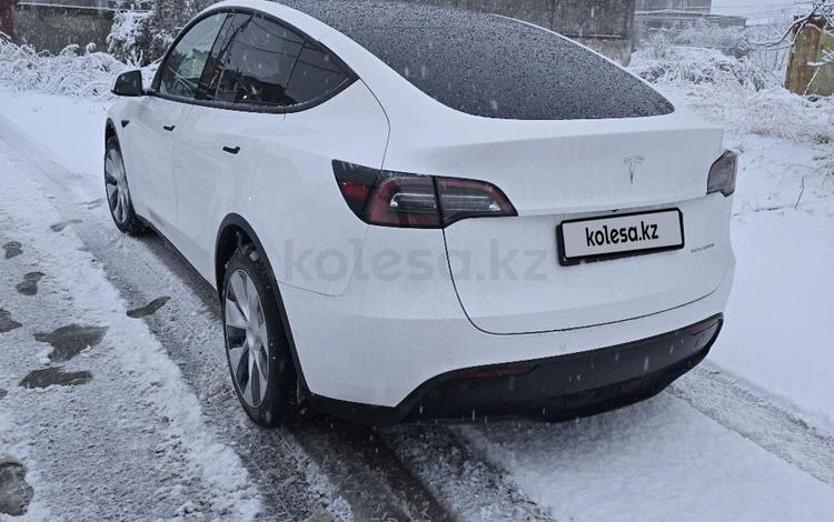 Tesla Model Y — миниатюра 3