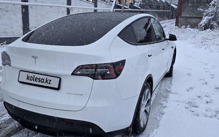 Tesla Model Y — миниатюра 4