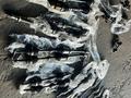 Привод гранаты в сборе на камри 30 40 L R за 50 000 тг. в Семей – фото 2