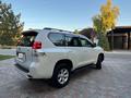 Toyota Land Cruiser Prado 2010 года за 14 500 000 тг. в Тараз – фото 12