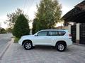 Toyota Land Cruiser Prado 2010 года за 14 500 000 тг. в Тараз – фото 19