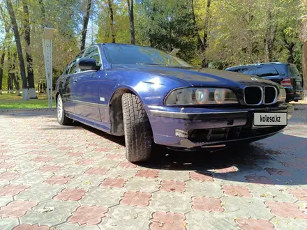 BMW 523 1995 года за 2 500 000 тг. в Тараз – фото 16