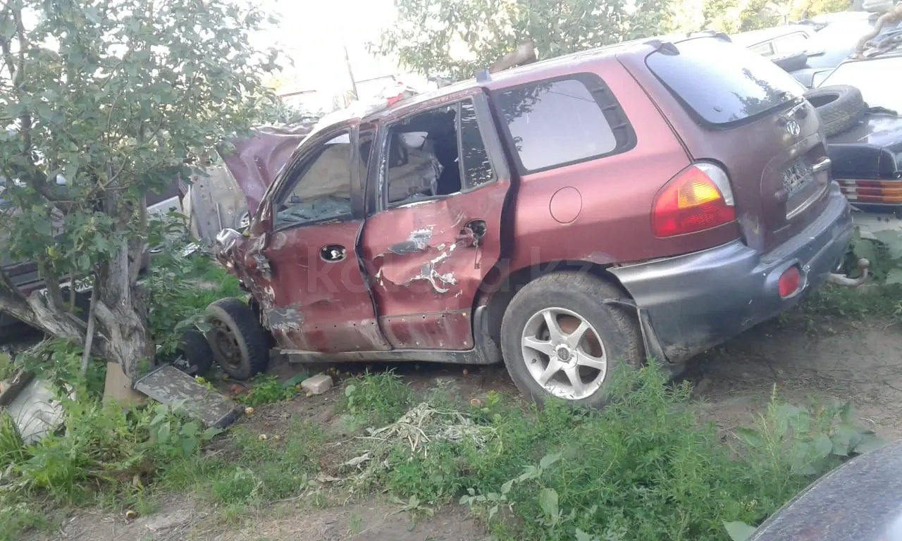 Hyundai Santa FE, 2001