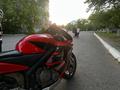 Honda  CBR 600RR 2003 года за 2 700 000 тг. в Караганда – фото 10
