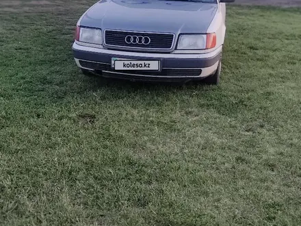 Audi 100 1992 года за 2 000 000 тг. в Петропавловск – фото 12