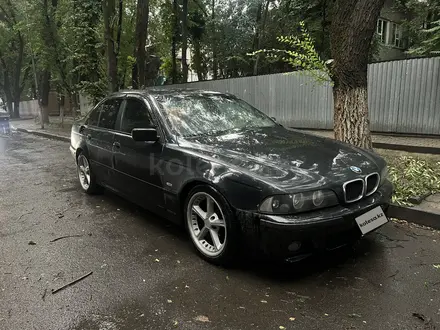 BMW 530 2003 года за 2 300 000 тг. в Алматы – фото 9