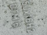 Шины с дискамиүшін200 000 тг. в Тараз – фото 4