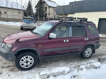 Honda CR-V 1995 года за 2 600 000 тг. в Алматы – фото 4