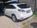 Lexus RX 350 2010 года за 11 500 000 тг. в Шымкент – фото 4