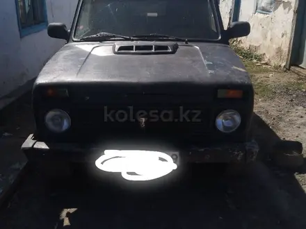 ВАЗ (Lada) Lada 2121 1999 года за 1 200 000 тг. в Осакаровка – фото 2