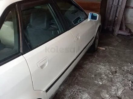 Audi 80 1992 года за 1 500 000 тг. в Шемонаиха