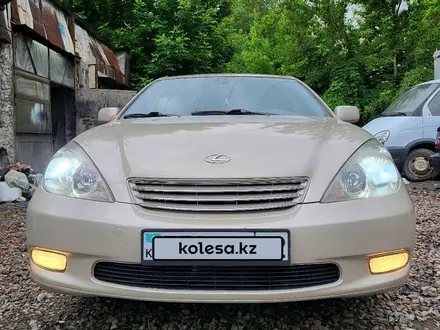 Lexus ES 330 2003 года за 5 850 000 тг. в Алматы – фото 22