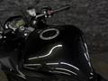 Kawasaki  Z 1000 SX 2019 года за 7 250 000 тг. в Алматы – фото 15