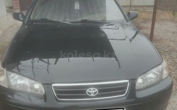 Toyota Camry 2000 года за 3 500 000 тг. в Алматы