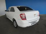 Chevrolet Cobalt 2024 года за 5 424 000 тг. в Шымкент – фото 4