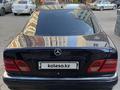 Mercedes-Benz E 280 1999 года за 2 650 000 тг. в Караганда – фото 5