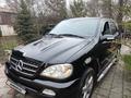 Mercedes-Benz ML 350 2003 года за 5 600 000 тг. в Алматы – фото 15